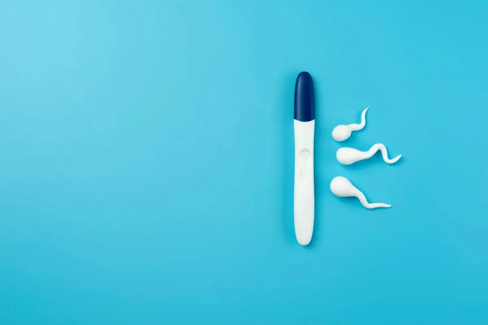 pregnancy-test-still-life-arrangement-fertility-test